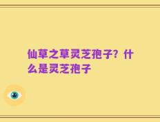 仙草之草灵芝孢子？什么是灵芝孢子