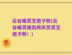 云谷曦灵芝孢子粉(云谷曦灵推出纯天然灵芝孢子粉！)