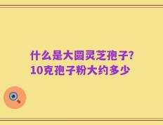 什么是大圆灵芝孢子？10克孢子粉大约多少