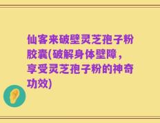 仙客来破壁灵芝孢子粉胶囊(破解身体壁障，享受灵芝孢子粉的神奇功效)