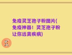 免疫灵芝孢子粉图片(免疫神器！灵芝孢子粉让你远离疾病)