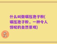 什么叫做碾压孢子粉(碾压孢子粉，一种令人惊叹的自然景观)