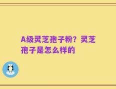 A级灵芝孢子粉？灵芝孢子是怎么样的
