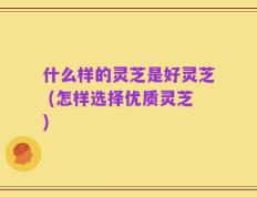 什么样的灵芝是好灵芝 (怎样选择优质灵芝)