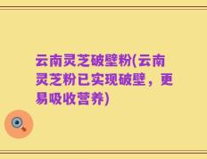 云南灵芝破壁粉(云南灵芝粉已实现破壁，更易吸收营养)