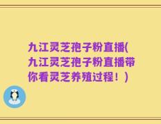 九江灵芝孢子粉直播(九江灵芝孢子粉直播带你看灵芝养殖过程！)