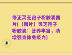 修正灵芝孢子粉胶囊图片(【图片】灵芝孢子粉胶囊：营养丰富，助增强身体免疫力)