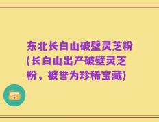 东北长白山破壁灵芝粉(长白山出产破壁灵芝粉，被誉为珍稀宝藏)