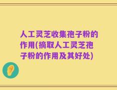 人工灵芝收集孢子粉的作用(摘取人工灵芝孢子粉的作用及其好处)
