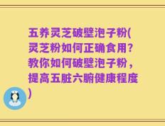 五养灵芝破壁泡子粉(灵芝粉如何正确食用？教你如何破壁泡子粉，提高五脏六腑健康程度)
