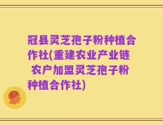 冠县灵芝孢子粉种植合作社(重建农业产业链 农户加盟灵芝孢子粉种植合作社)