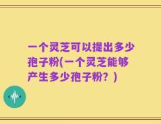 一个灵芝可以提出多少孢子粉(一个灵芝能够产生多少孢子粉？)