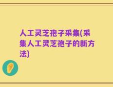 人工灵芝孢子采集(采集人工灵芝孢子的新方法)