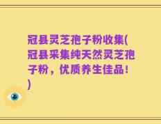 冠县灵芝孢子粉收集(冠县采集纯天然灵芝孢子粉，优质养生佳品！)