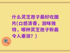 什么灵芝孢子最好吃图片(口感清香，滋味独特，哪种灵芝孢子粉最令人垂涎？)