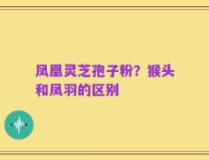 凤凰灵芝孢子粉？猴头和凤羽的区别