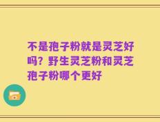 不是孢子粉就是灵芝好吗？野生灵芝粉和灵芝孢子粉哪个更好
