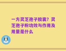 一方灵芝孢子胶囊？灵芝孢子粉功效与作用及用量是什么
