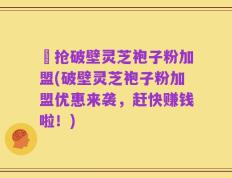 價抢破壁灵芝袍子粉加盟(破壁灵芝袍子粉加盟优惠来袭，赶快赚钱啦！)