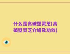 什么是高破壁灵芝(高破壁灵芝介绍及功效)