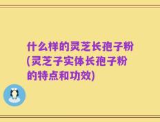 什么样的灵芝长孢子粉(灵芝子实体长孢子粉的特点和功效)