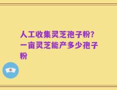人工收集灵芝孢子粉？一亩灵芝能产多少孢子粉