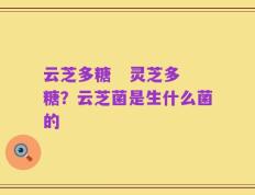 云芝多糖   灵芝多糖？云芝菌是生什么菌的