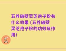 五养破壁灵芝孢子粉有什么效果 (五养破壁灵芝孢子粉的功效及作用)