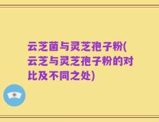 云芝菌与灵芝孢子粉(云芝与灵芝孢子粉的对比及不同之处)