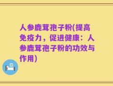 人参鹿茸孢子粉(提高免疫力，促进健康：人参鹿茸孢子粉的功效与作用)