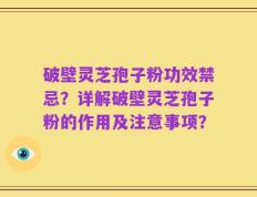 破壁灵芝孢子粉功效禁忌？详解破壁灵芝孢子粉的作用及注意事项？