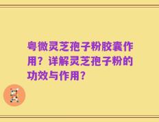 粤微灵芝孢子粉胶囊作用？详解灵芝孢子粉的功效与作用？