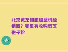北京灵芝细胞破壁机经销商？哪里有收购灵芝孢子粉