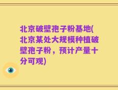 北京破壁孢子粉基地(北京某处大规模种植破壁孢子粉，预计产量十分可观)