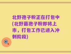 北野孢子粉正在打包中(北野菌孢子粉即将上市，打包工作已进入冲刺阶段)