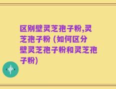 区别壁灵芝孢子粉,灵芝孢子粉 (如何区分壁灵芝孢子粉和灵芝孢子粉)