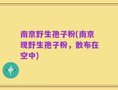 南京野生孢子粉(南京现野生孢子粉，散布在空中)