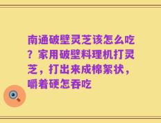 南通破壁灵芝该怎么吃？家用破壁料理机打灵芝，打出来成棉絮状，嚼着硬怎吞吃
