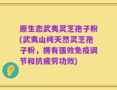 原生态武夷灵芝孢子粉(武夷山纯天然灵芝孢子粉，拥有强效免疫调节和抗疲劳功效)
