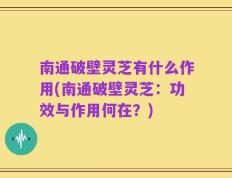 南通破壁灵芝有什么作用(南通破壁灵芝：功效与作用何在？)