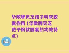 华敷牌灵芝孢子粉软胶囊作用 (华敷牌灵芝孢子粉软胶囊的功效特点)