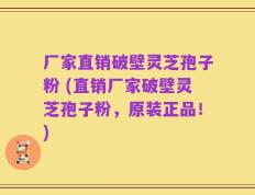 厂家直销破壁灵芝孢子粉 (直销厂家破壁灵芝孢子粉，原装正品！)