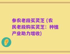 参农老段买灵芝 (农民老段购买灵芝：种植产业助力增收)