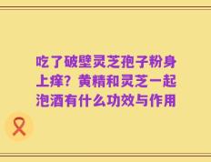 吃了破壁灵芝孢子粉身上痒？黄精和灵芝一起泡酒有什么功效与作用