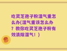 吃灵芝孢子粉湿气重怎么办(湿气重该怎么办？教你吃灵芝孢子粉有效清除湿气！)