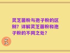 灵芝菌粉与孢子粉的区别？详解灵芝菌粉和孢子粉的不同之处？