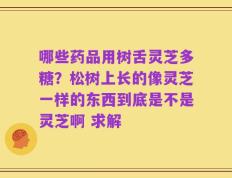 哪些药品用树舌灵芝多糖？松树上长的像灵芝一样的东西到底是不是灵芝啊 求解