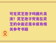 可见灵芝孢子吗图片高清？灵芝孢子究竟在灵芝的伞面还是伞底有相关参考书籍