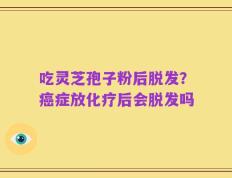 吃灵芝孢子粉后脱发？癌症放化疗后会脱发吗