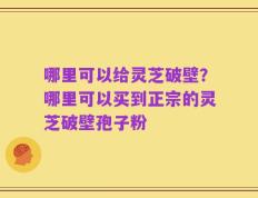 哪里可以给灵芝破壁？哪里可以买到正宗的灵芝破壁孢子粉